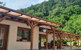 Hos Vendeghaz Miskolc -Oenallo Vendeghaz, Mely Csak Az Oenoeke